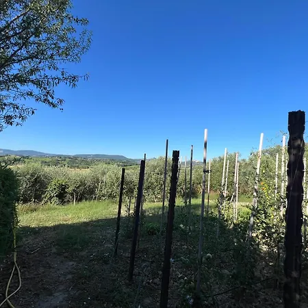 Casa Isidora Acquaviva (Montepulciano)